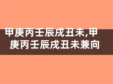 甲庚丙壬辰戌丑未,甲庚丙壬辰戌丑未兼向