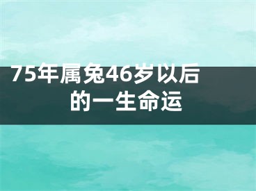 75年属兔46岁以后的一生命运