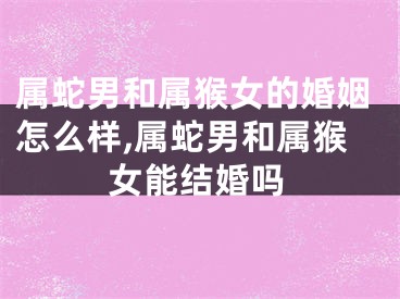 属蛇男和属猴女的婚姻怎么样,属蛇男和属猴女能结婚吗