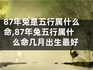 87年兔是五行属什么命,87年兔五行属什么命几月出生最好