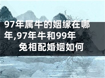 97年属牛的姻缘在哪年,97年牛和99年兔相配婚姻如何