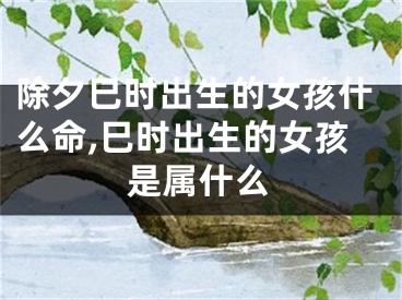 除夕巳时出生的女孩什么命,巳时出生的女孩是属什么