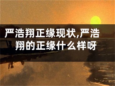 严浩翔正缘现状,严浩翔的正缘什么样呀