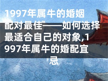 1997年属牛的婚姻配对最佳——如何选择最适合自己的对象,1997年属牛的婚配宜忌