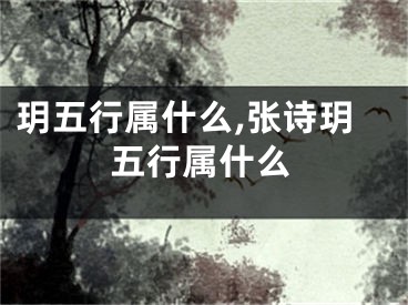 玥五行属什么,张诗玥五行属什么