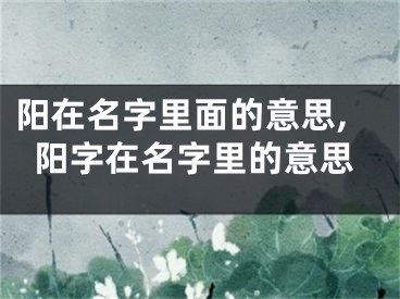 阳在名字里面的意思,阳字在名字里的意思