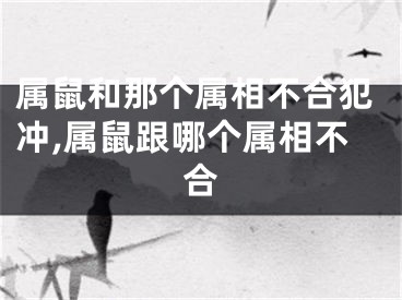 属鼠和那个属相不合犯冲,属鼠跟哪个属相不合