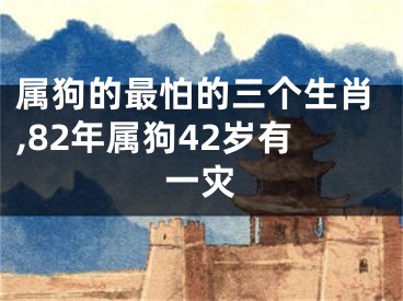 属狗的最怕的三个生肖,82年属狗42岁有一灾