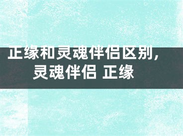 正缘和灵魂伴侣区别,灵魂伴侣 正缘