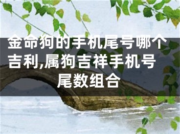金命狗的手机尾号哪个吉利,属狗吉祥手机号尾数组合