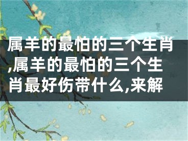 属羊的最怕的三个生肖,属羊的最怕的三个生肖最好伤带什么,来解