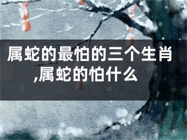 属蛇的最怕的三个生肖,属蛇的怕什么