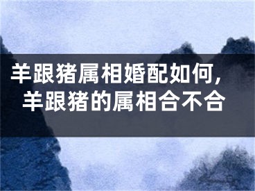 羊跟猪属相婚配如何,羊跟猪的属相合不合