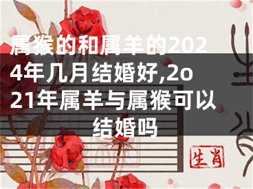 属猴的和属羊的2024年几月结婚好,2o21年属羊与属猴可以结婚吗