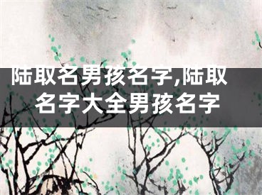 陆取名男孩名字,陆取名字大全男孩名字
