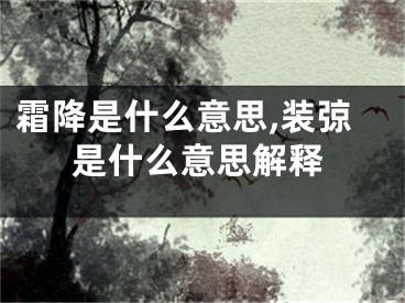 霜降是什么意思,装弶是什么意思解释