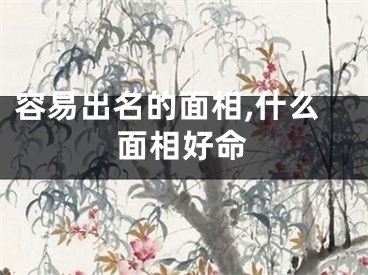 容易出名的面相,什么面相好命