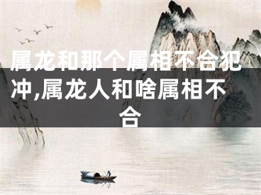 属龙和那个属相不合犯冲,属龙人和啥属相不合