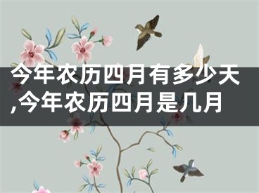 今年农历四月有多少天,今年农历四月是几月