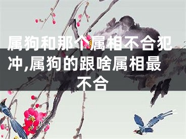 属狗和那个属相不合犯冲,属狗的跟啥属相最不合