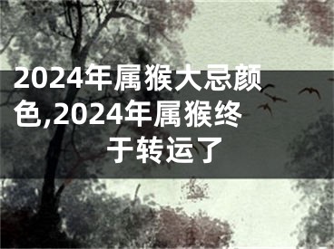 2024年属猴大忌颜色,2024年属猴终于转运了