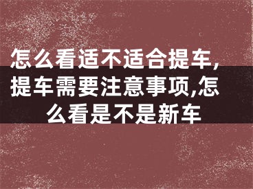 怎么看适不适合提车,提车需要注意事项,怎么看是不是新车