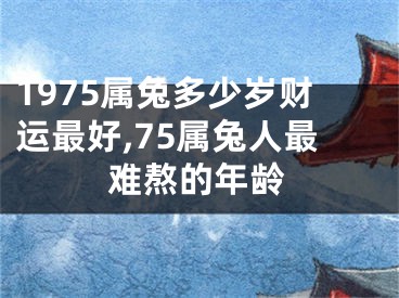 1975属兔多少岁财运最好,75属兔人最难熬的年龄