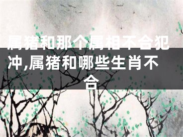 属猪和那个属相不合犯冲,属猪和哪些生肖不合