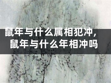 鼠年与什么属相犯冲,鼠年与什么年相冲吗