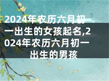 2024年农历六月初一出生的女孩起名,2024年农历六月初一出生的男孩