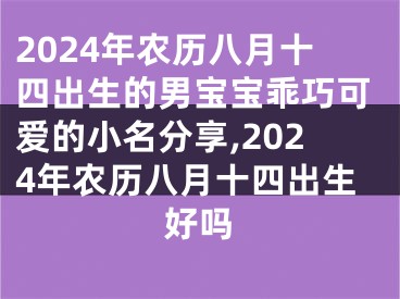 2024年农历八月十四出生的男宝宝乖巧可爱的小名分享,2024年农历八月十四出生好吗