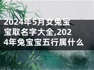 2024年5月女兔宝宝取名字大全,2024年兔宝宝五行属什么