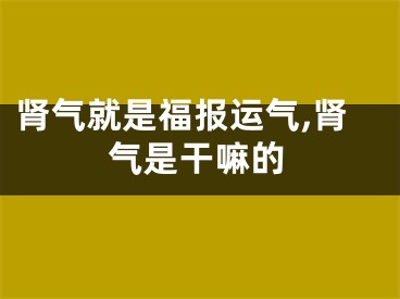 肾气就是福报运气,肾气是干嘛的