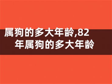 属狗的多大年龄,82年属狗的多大年龄