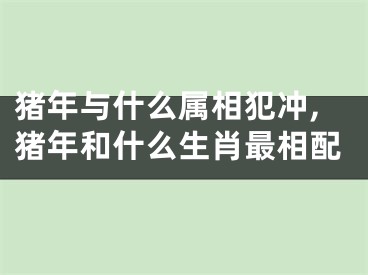 猪年与什么属相犯冲,猪年和什么生肖最相配