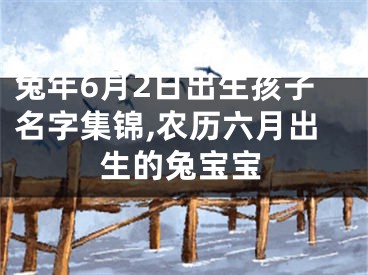 兔年6月2日出生孩子名字集锦,农历六月出生的兔宝宝