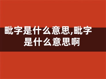 毗字是什么意思,毗字是什么意思啊
