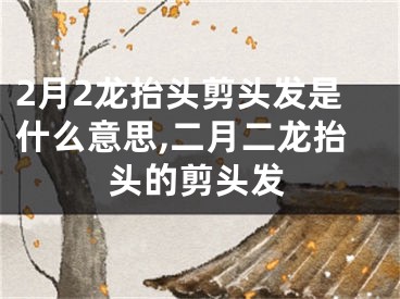 2月2龙抬头剪头发是什么意思,二月二龙抬头的剪头发