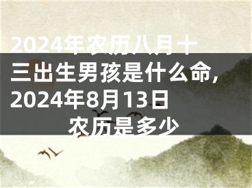 2024年农历八月十三出生男孩是什么命,2024年8月13日农历是多少