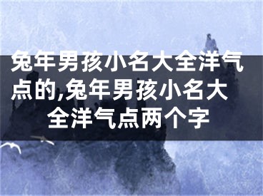 兔年男孩小名大全洋气点的,兔年男孩小名大全洋气点两个字