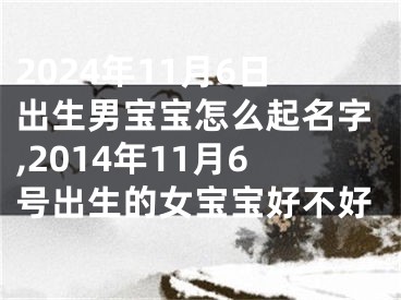 2024年11月6日出生男宝宝怎么起名字,2014年11月6号出生的女宝宝好不好