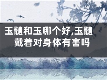 玉髓和玉哪个好,玉髓戴着对身体有害吗