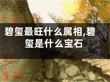 碧玺最旺什么属相,碧玺是什么宝石