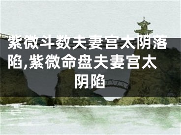 紫微斗数夫妻宫太阴落陷,紫微命盘夫妻宫太阴陷