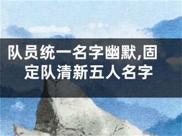 队员统一名字幽默,固定队清新五人名字