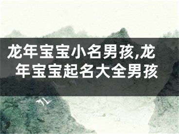 龙年宝宝小名男孩,龙年宝宝起名大全男孩