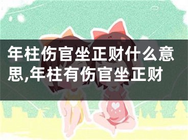 年柱伤官坐正财什么意思,年柱有伤官坐正财