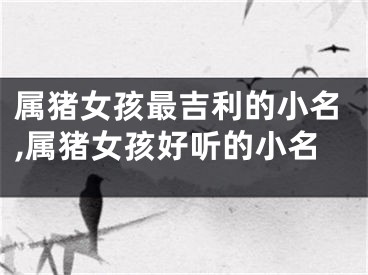 属猪女孩最吉利的小名,属猪女孩好听的小名