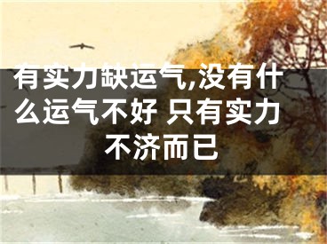 有实力缺运气,没有什么运气不好 只有实力不济而已