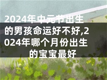 2024年中元节出生的男孩命运好不好,2024年哪个月份出生的宝宝最好